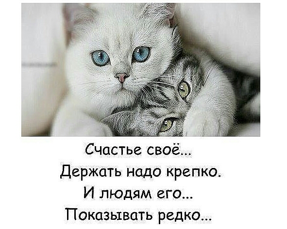 Счастье своё Держать надо крепко И людям его Показывать редко