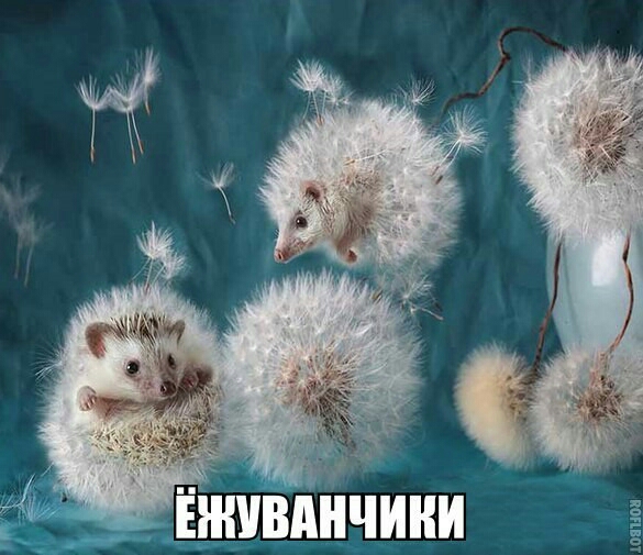 57 З іншднчини