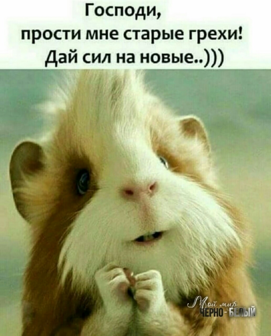 ГОСПОдИ прости мне старые грехи дай сил на новые