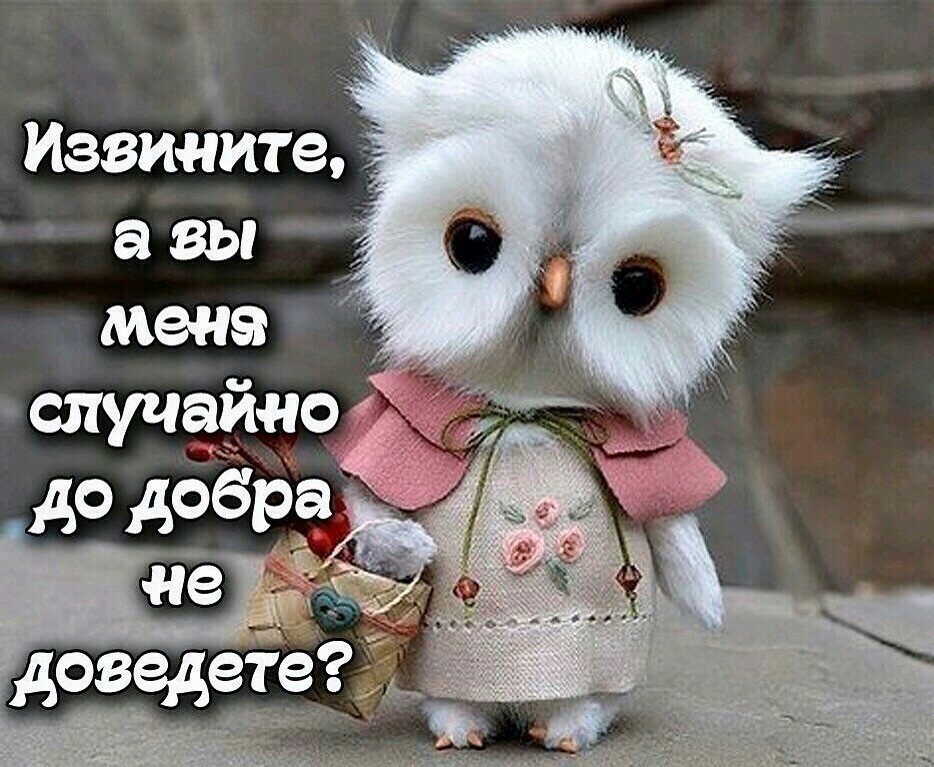 Извините 1 а вы