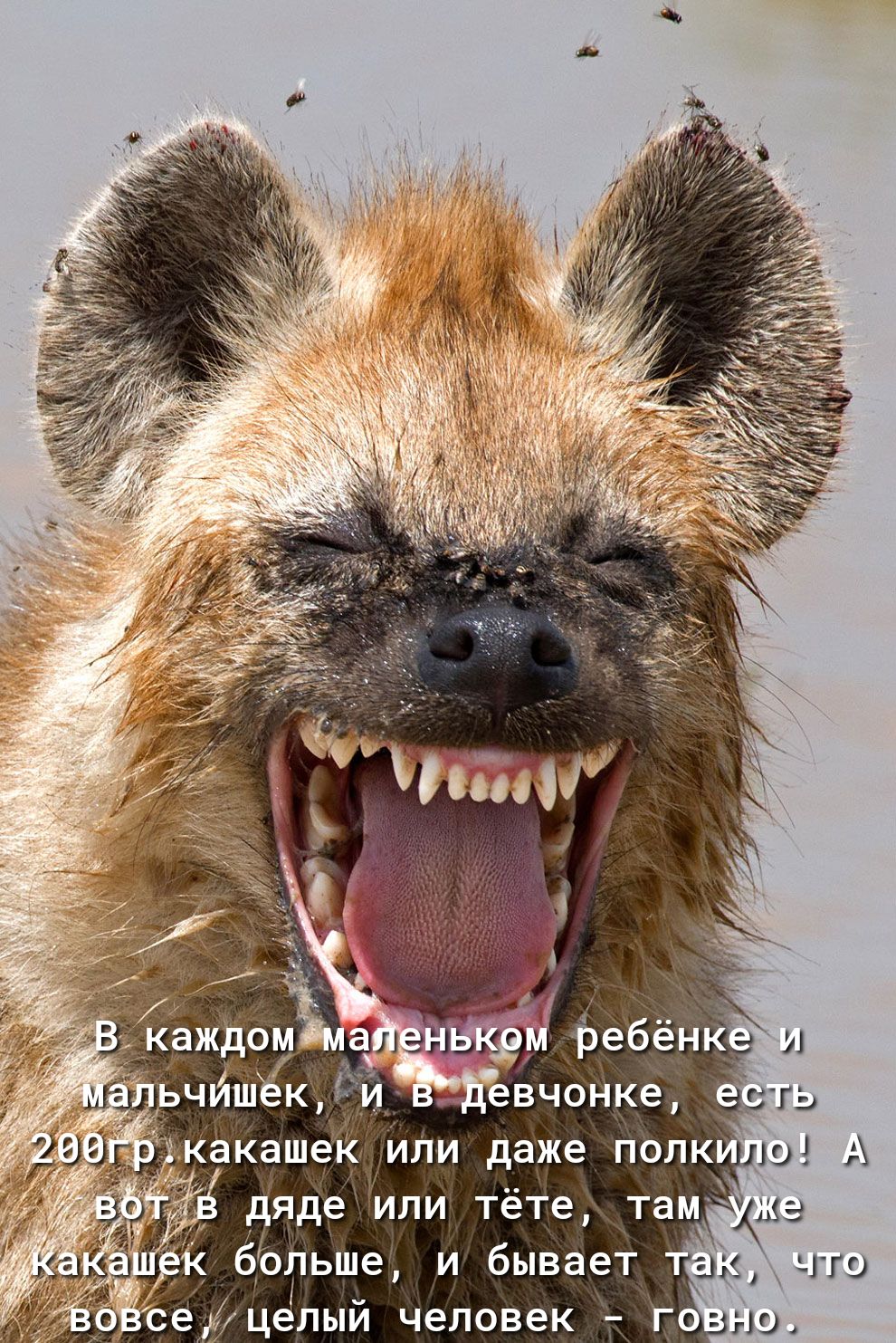 А д деили тёте там бЬГьше и бывает так что семцелый человек г ы9