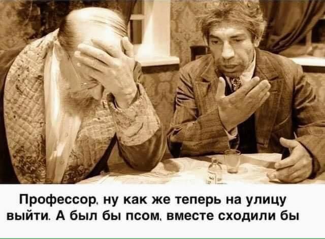Профессор ну как же теперь на улицу выйти А был бы псом вместе сходили бы
