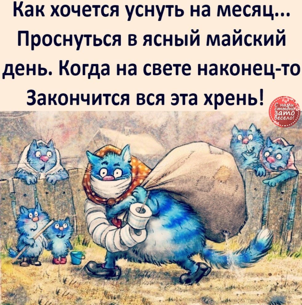 Как хочется уснуть на месяц Проснуться в ясный майский день Когда на свете наконец то Закончится вся эта хрень