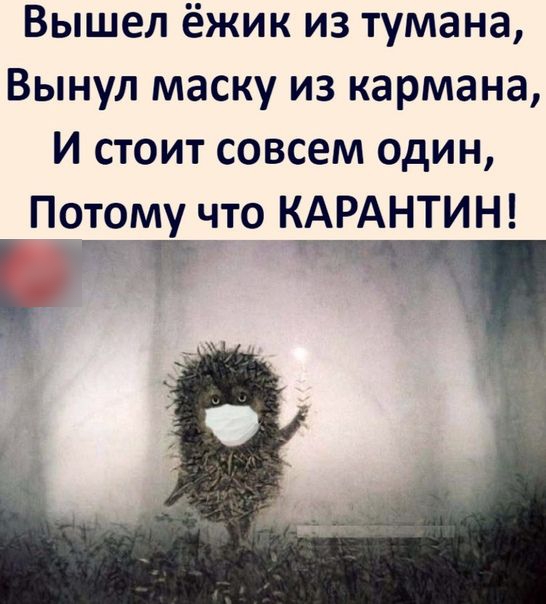 Вышел ёжик из тумана Вынул маску из кармана И стоит совсем один Потому что КАРАНТИН Р ь