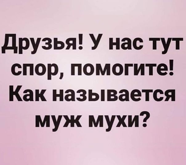 друзья У нас тут спор помогите Как называется муж мухи