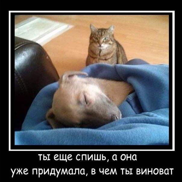 ТЫ еще СПИШЬ О ОНО уже ПРИДУМОЛО В ЧЕМ ТЬ1 ВИНОВОТ