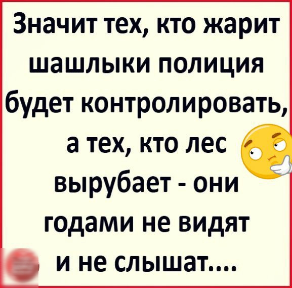 Значит тех кто жарит шашлыки полиция будет контролировать а тех кто лес вырубает они г0дами не видят и не слышат