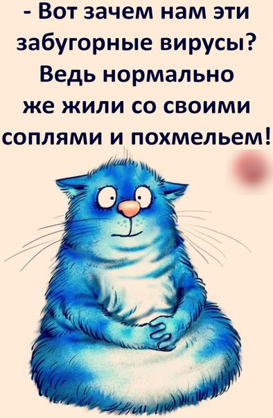 Вот зачем нам эти забугорные вирусы Ведь нормально же жили со своими соплями и похмельем