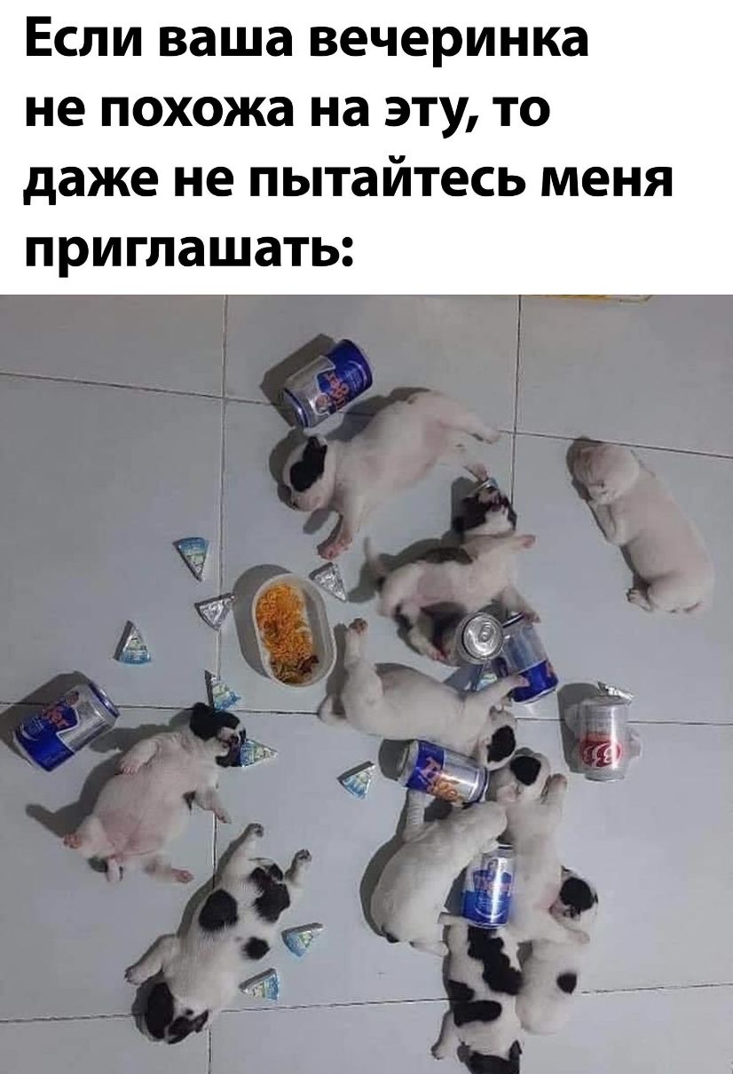 ЕСЛИ ваша вечеринка не похожа на ЭТУ ТО даже не ПЫТЗЙТЕСЬ МЕНЯ приглашать