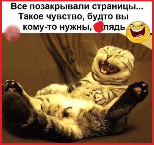Все позакрывали страницы Такое чувство будто вы кому то нужнылядь