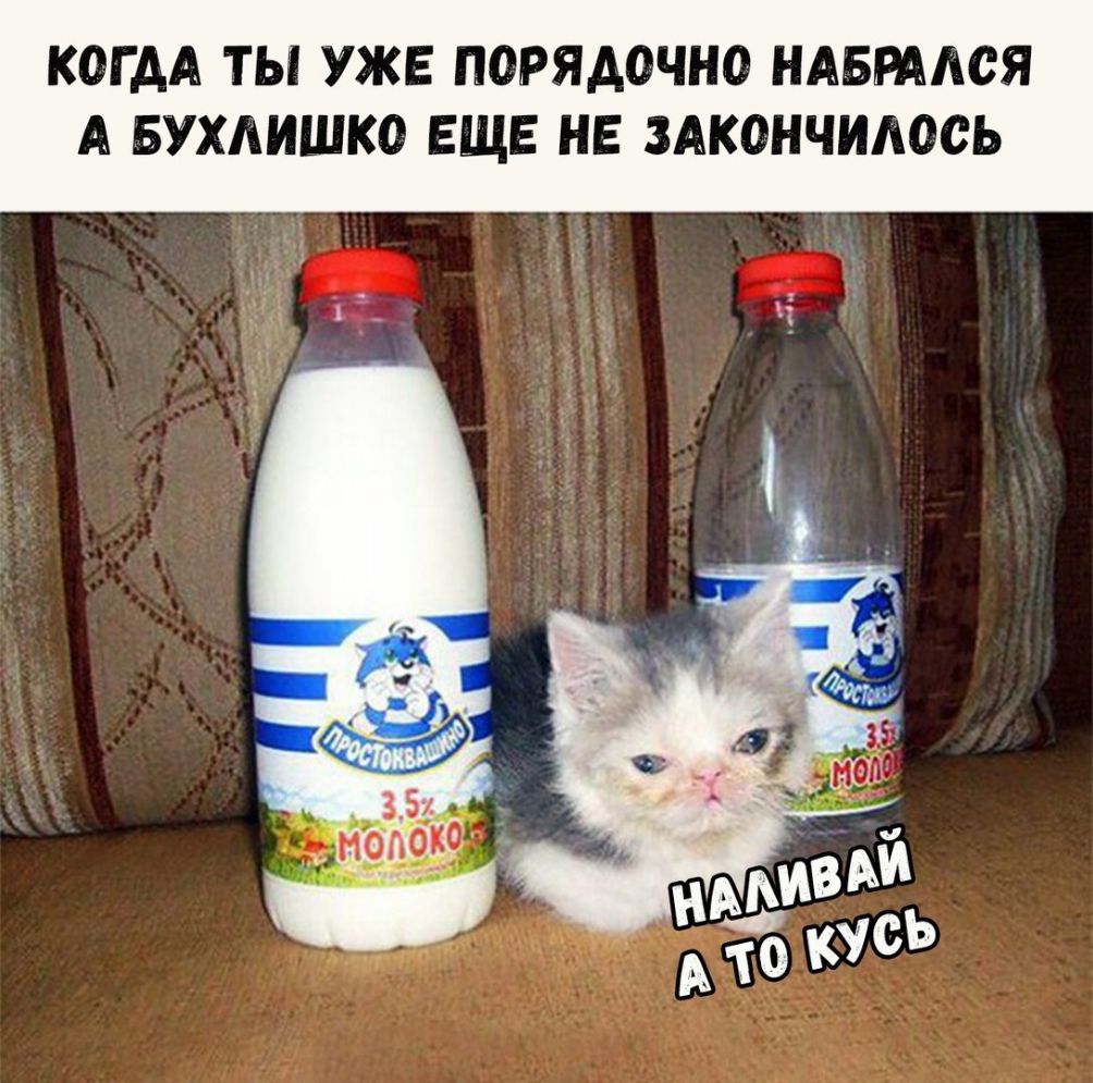 КОГДА ТЫ УЖЕ ПОРЯАОЧНО НАБРААСЯ А БУХАИШКО ЕЩЕ НЕ ЗАКОНЧИАОСЬ