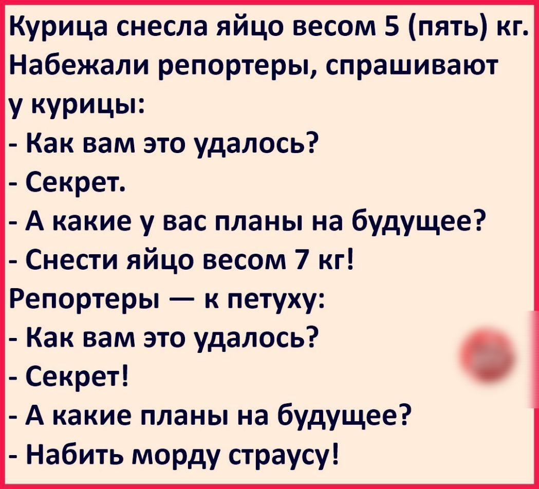 Курица снесла яйцо весом 5 пять кг Набежали репортеры спрашивают у курицы Как вам это удалось Секрет А какие у вас планы на будущее Снести яйцо весом 7 кг Репортеры к петуху Как вам это удалось Секрет А какие планы на будущее Набить морду страусу