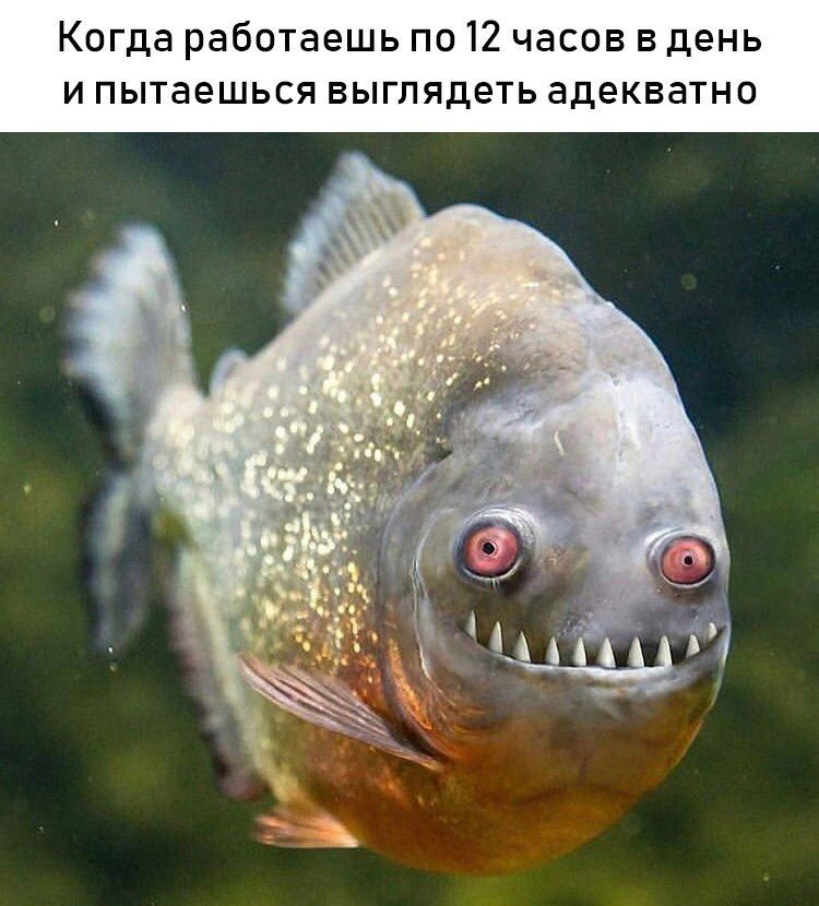 Когда работаешь по 12 часов в день и пытаешься выглядеть адекватно