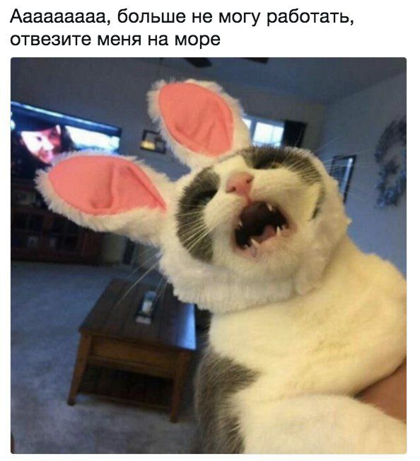 Ааааааааа больше не могу работать отвезите меня на море