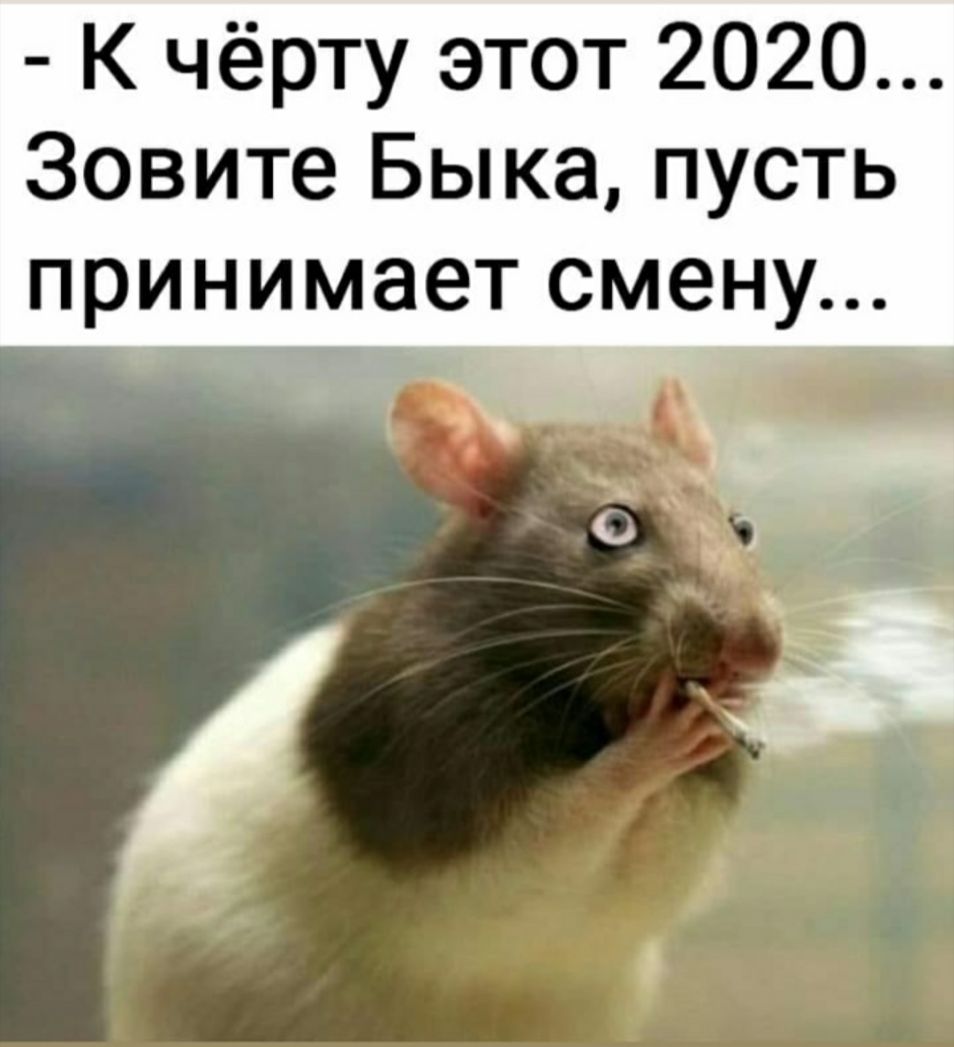К чёрту этот 2020 Зовите Быка пусть принимает смену