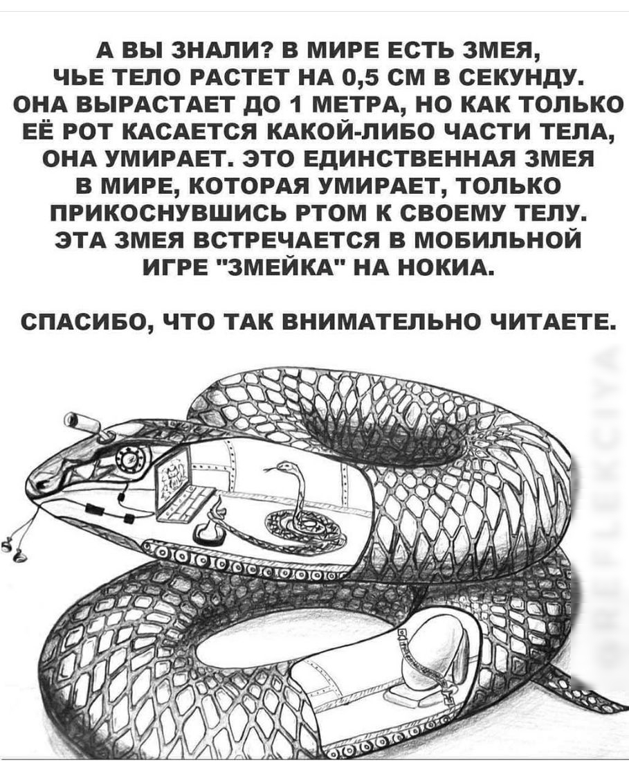 А вы ЗНАПИ в МИРЕ Есть 3МЕя чьв ТЕпо РАСТЕТ НА 05 см в СЕКУНдУ ОНА ВЫРАСТАЕТ дО 1 МЕТРА НО КАК только ЕЁ РОТ КАСАЕТСЯ КАКОЙ ЛИБО ЧАСТИ ТЕЛА ОНА УМИРАЕТ это ЕДИНСТВЕННАЯ эти В МИРЕ КОТОРАЯ УМИРАЕТ только ПРикоснувшись РТОМ к СВОЕМУ ТЕПУ эТА 3МЕя ВСТРЕЧАЕТСЯ в мовильной ИГРЕ ЗМЕЙКА НА НОКИА СПАСИБО ЧТО ТАК ВНИМАТЕЛЬНО ЧИТАЕТЕ