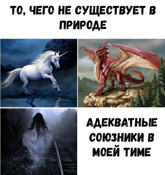ТО ЧЕГО НЕ СУЩЕСТВУЕТ В ПРИРОДЕ ААЕКВАТНЬ Е ООЮЗчНИКИ В МОЕИ ТИМЕ