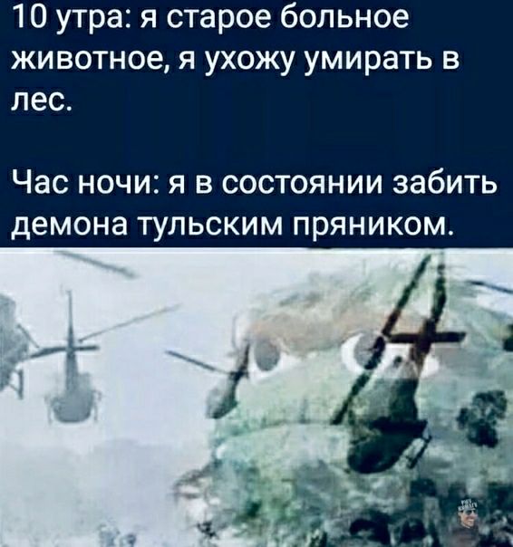 10 утра я старое больное животное я ухожу умирать в лес Час НОЧИ Я В СОСТОЯНИИ ЗЭбИТЬ демона ТУЛЬСКИМ ПРЯНИКОМ