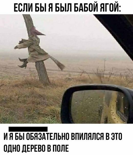 ЕСЛИ БЫ Я БЫЛ БАБОЙ ЯГОЙ И Я БЫ ОБЯЗАТЕЛЬНП ВПИПНЛСЯ В ЗТО ОДНО ДЕРЕВО В ППЛЕ