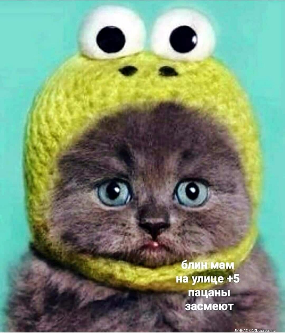 шннАзхшшщпз йе