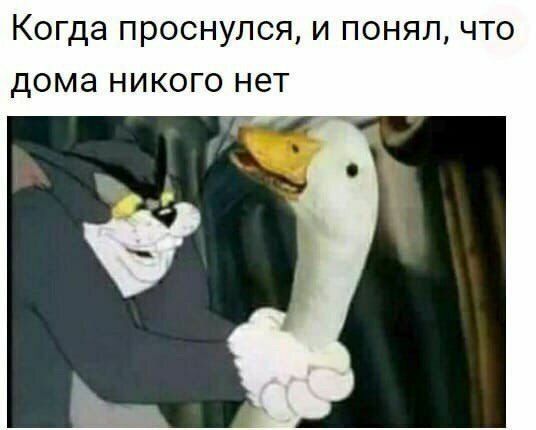 Когда ПРОСНУЛСЯ И ПОНЯЛ ЧТО дома НИКОГО Н6Т