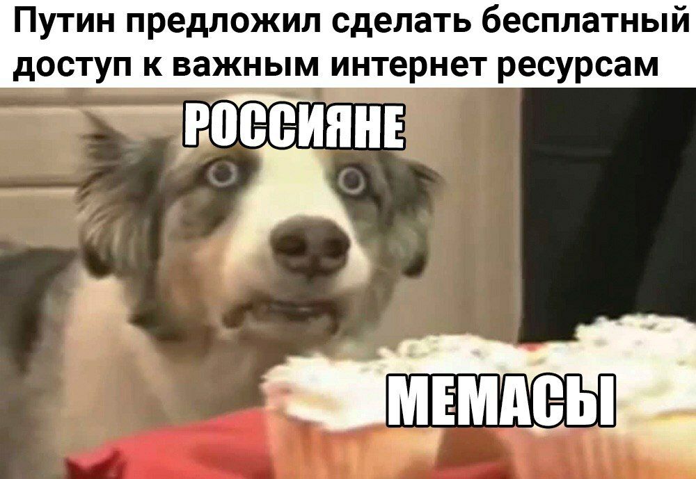Путин предложил сделать бесплатный доступ к важным интернет ресурсам _ доееиннв