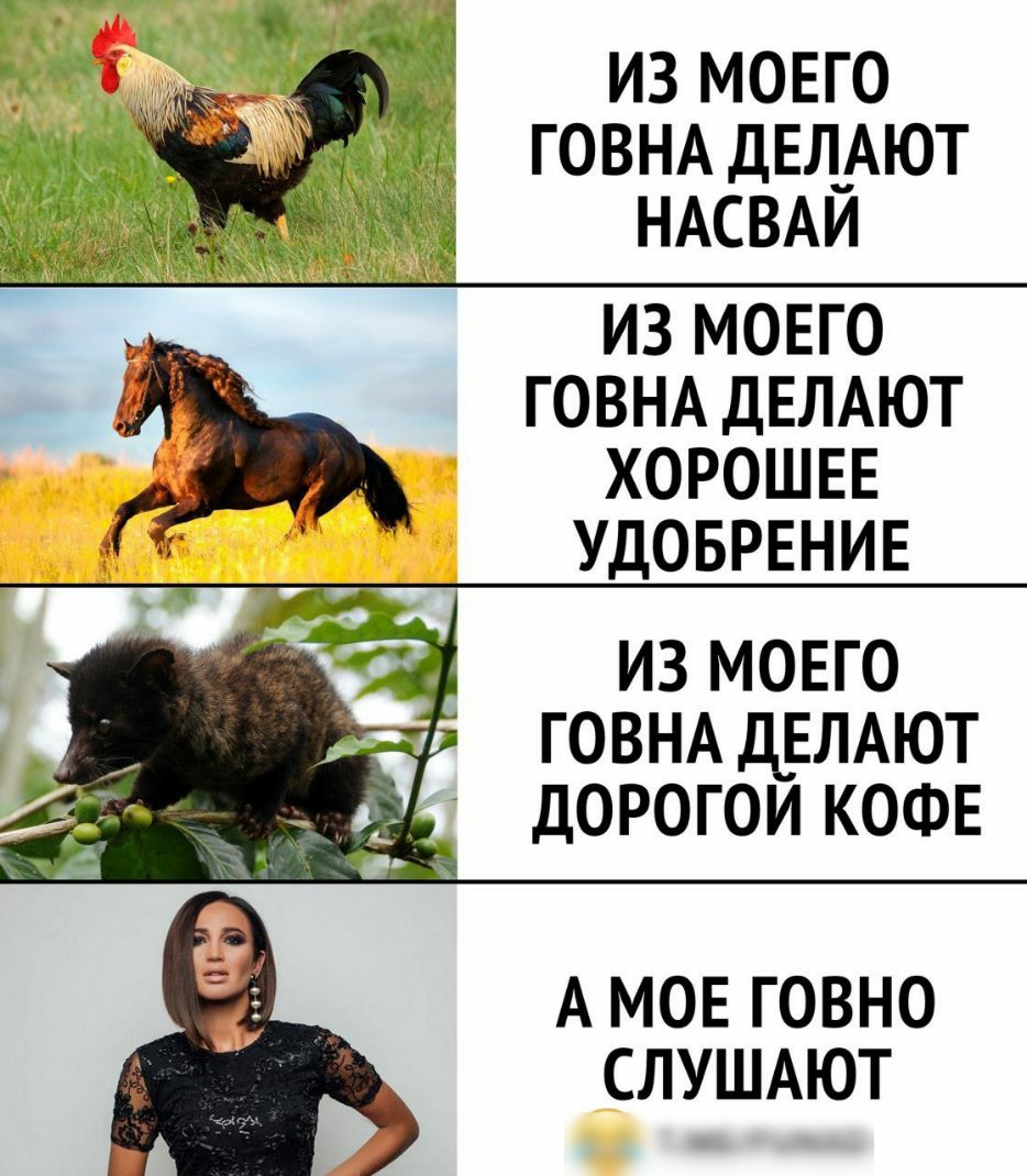 ИЗ МОЕГО ГОВНА ДЕЛ_АЮТ НАСВАИ из мовго _ ГОВНА ДЕЛАЮТ ХОРОШЕЕ _д УДОБРЕНИЕ г из моего говнд Д_ЕЛАЮТ дорогои КОФЕ ЁЁ 15 А МОЕ ГОВНО СЛУШАЮТ