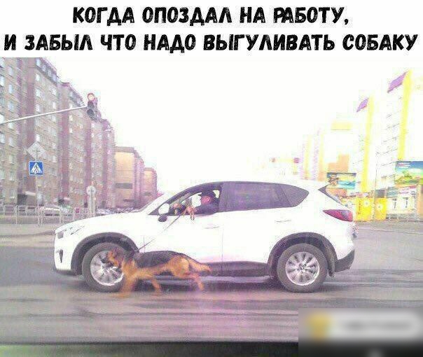 КОГ АА 0П03ААА НА РАБОТУ И ЗАБЫА ЧТО НАДО ВЫГУАИВАТЬ сопку