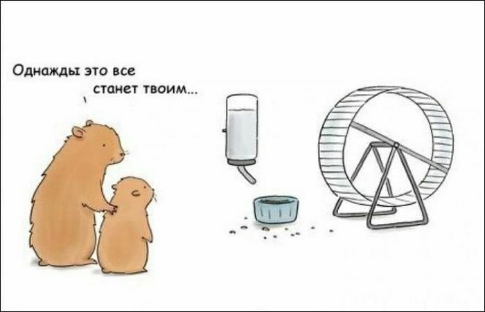 и Одними это все