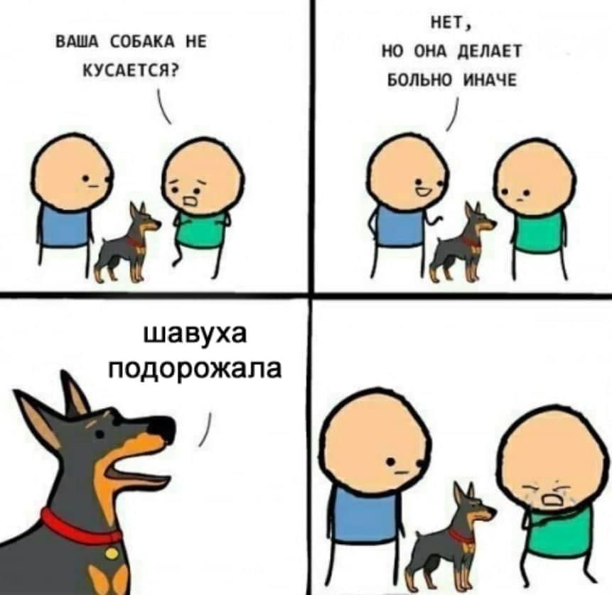 НЕТ НО ОНА дЕЛАЕТ БОЛЬНО ИНАЧЕ ВАША СОБАКА НЕ КУСАЕТСЯ шавуха подорожала
