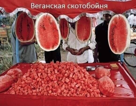 ВЭГЭНСКЭЯ СКОТОбОйНЯ
