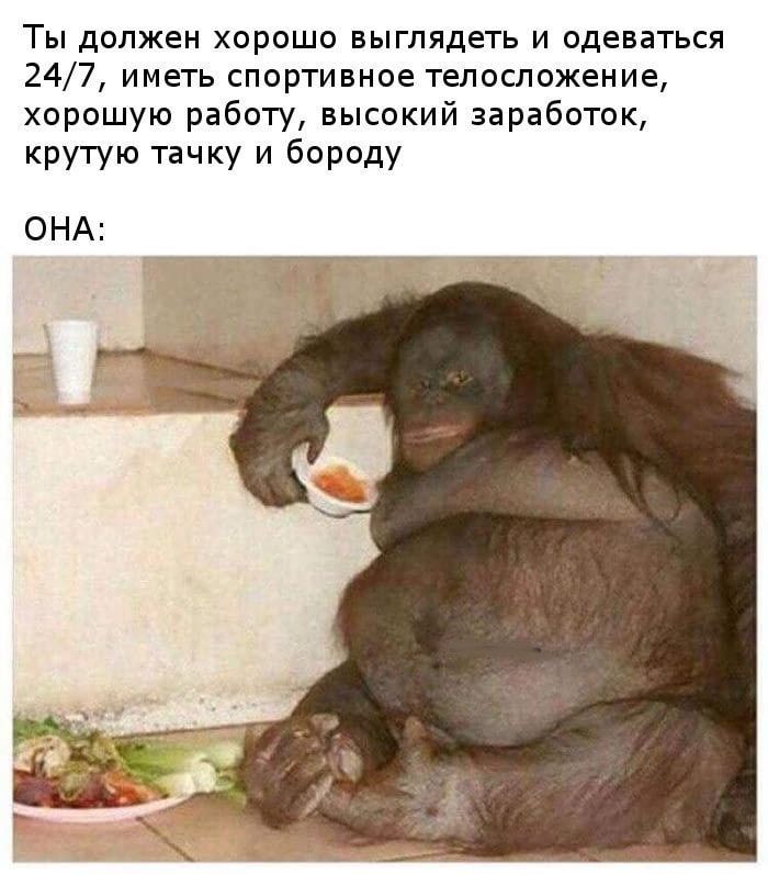 Ты должен хорошо выглядеть и одеваться 247 иметь спортивное телосложение хорошую работу высокий заработок крутую тачку и бороду ОНА