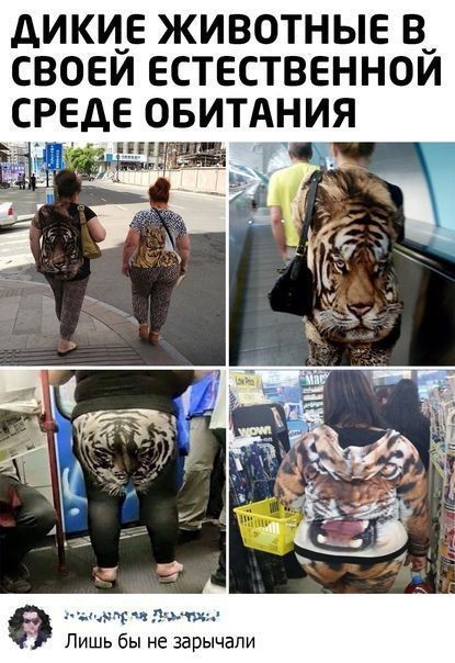 дИКЦЕ ЖИВОТНЫЕ В_ СВОЕИ ЕСТЕСТВЕННОИ СРЕДЕ ови чта _ Лишь бы не зарычапи