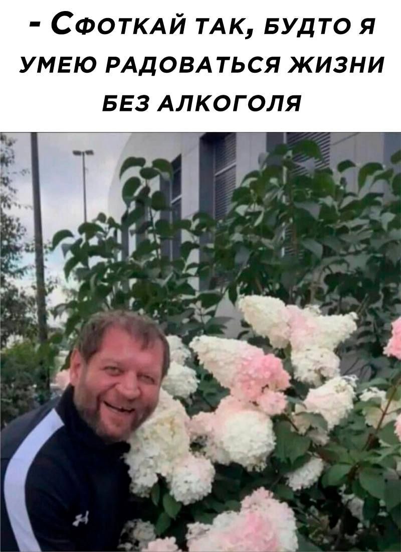СФОТКАЙ ТАК БУДТО я умею РАДОВА ться жизни БЕЗ Алкоголя