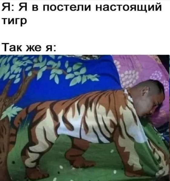 Я Я в постели настоящий тигр Так же я