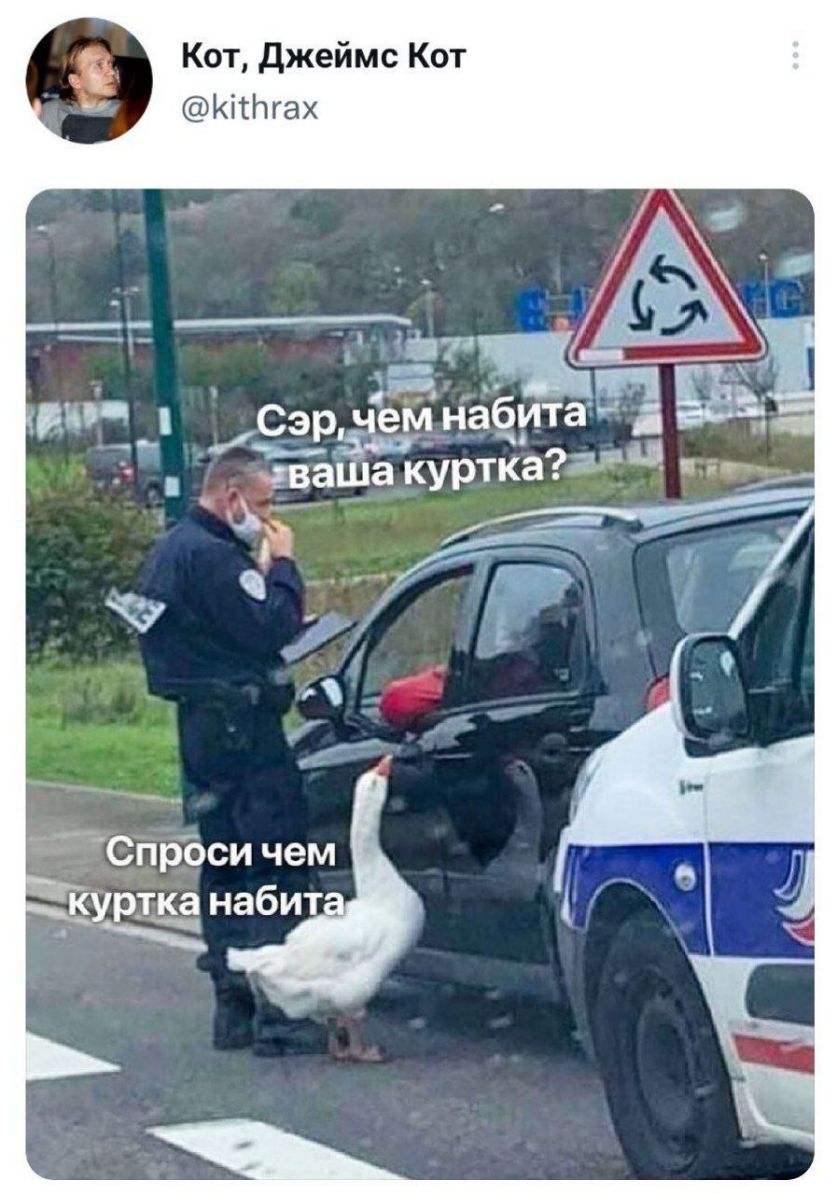 Кот джеймс Кот Ёіютгах е нь акурткагд пр