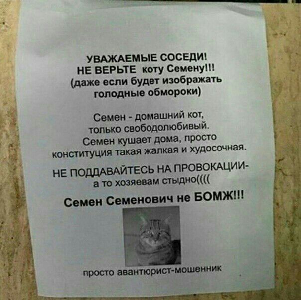 УВАЖАЕМЫЕ СОСЕДИ НЕ ВЕРЬТЕ квту Семену даже если будет изображать голодные обмороки Семен домашний кок тппько свободолюбивый д Семен кушает дома прото конституЦИя татя желая и худосочная не поддАБАЙТЕсь НА провокщии ш хозяевам Семен Семенович не Бомж