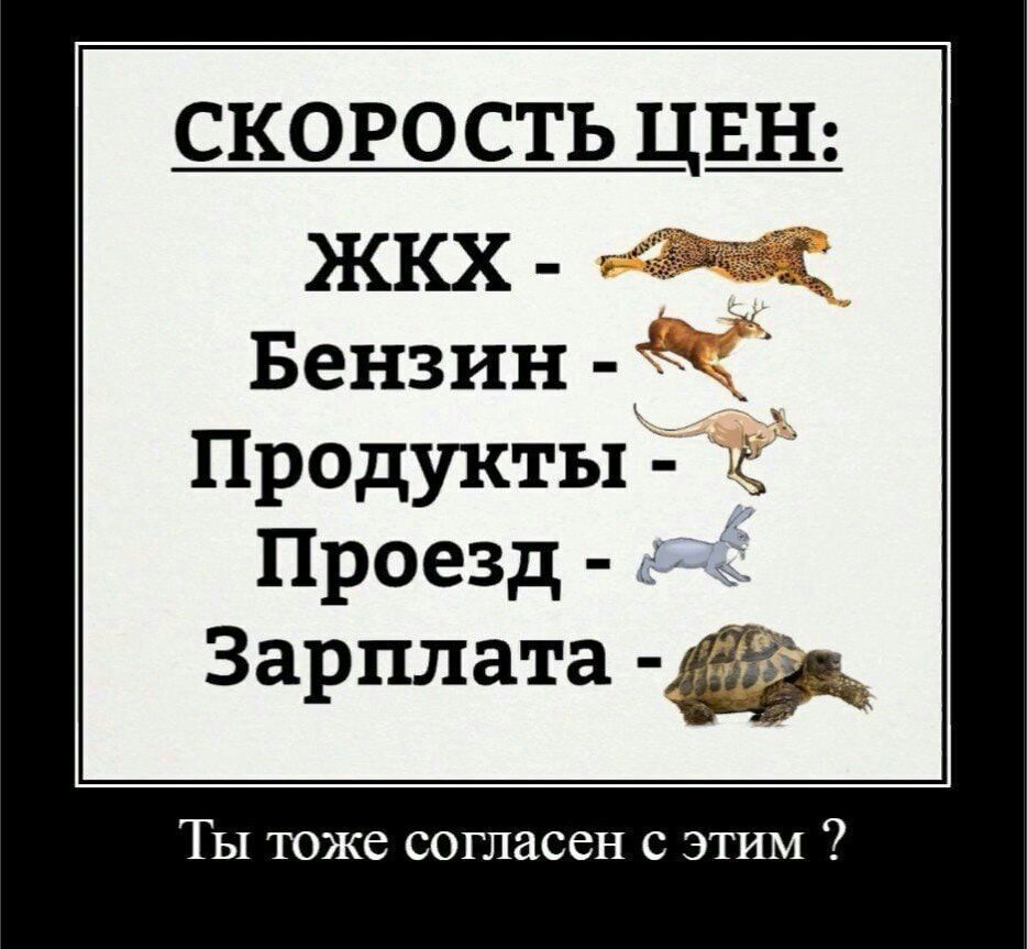скорость цщ Бензин продуктыіТк 9 Проезд Зарплата Ты тоже согласен с этим