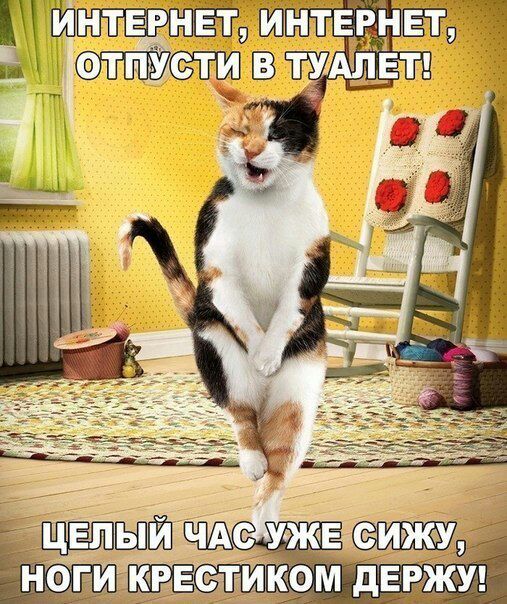э ШЗ инт
