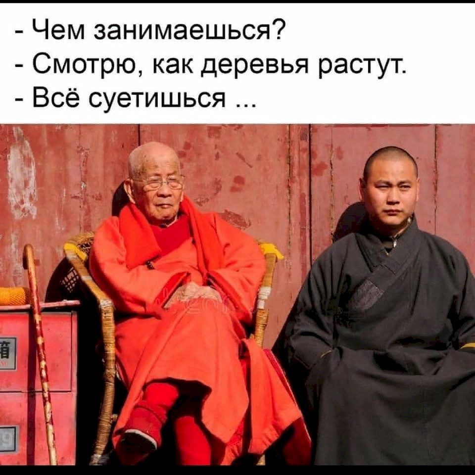 Чем занимаешься Смотрю как деревья растут Всё суетишься