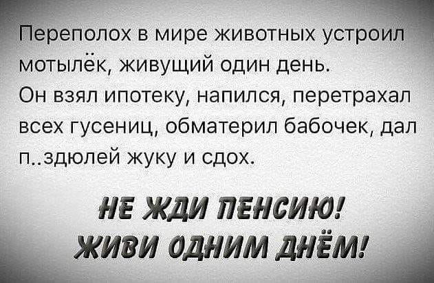 ёіэеполох в мире животных устрой мстылёк живущий один день Он взял ипотеку напился перетрахал всех гусениц обматерил бабочек дал п_здюлей жуку и сдох _ не жди пенсию _ живи одним днём