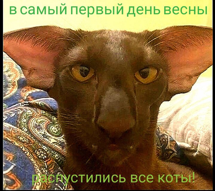 в самый первый день весны