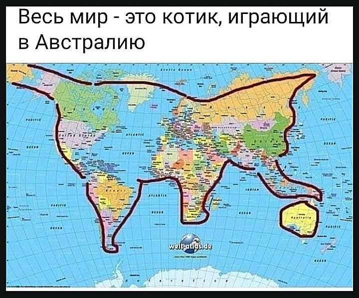 Весь мир это котик играющий в Австралию