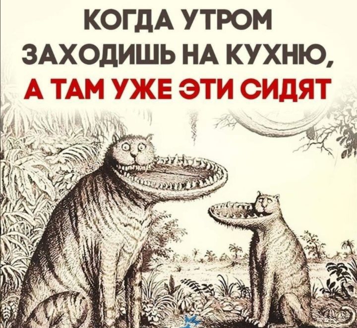 КОГДА УТРОМ ЗАХОДИШЬ НА КУХНЮ А ТАМ УЖЁ ти Ит