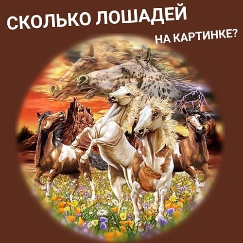 А кдртинкеч сколько ЛОШАДЕЙ