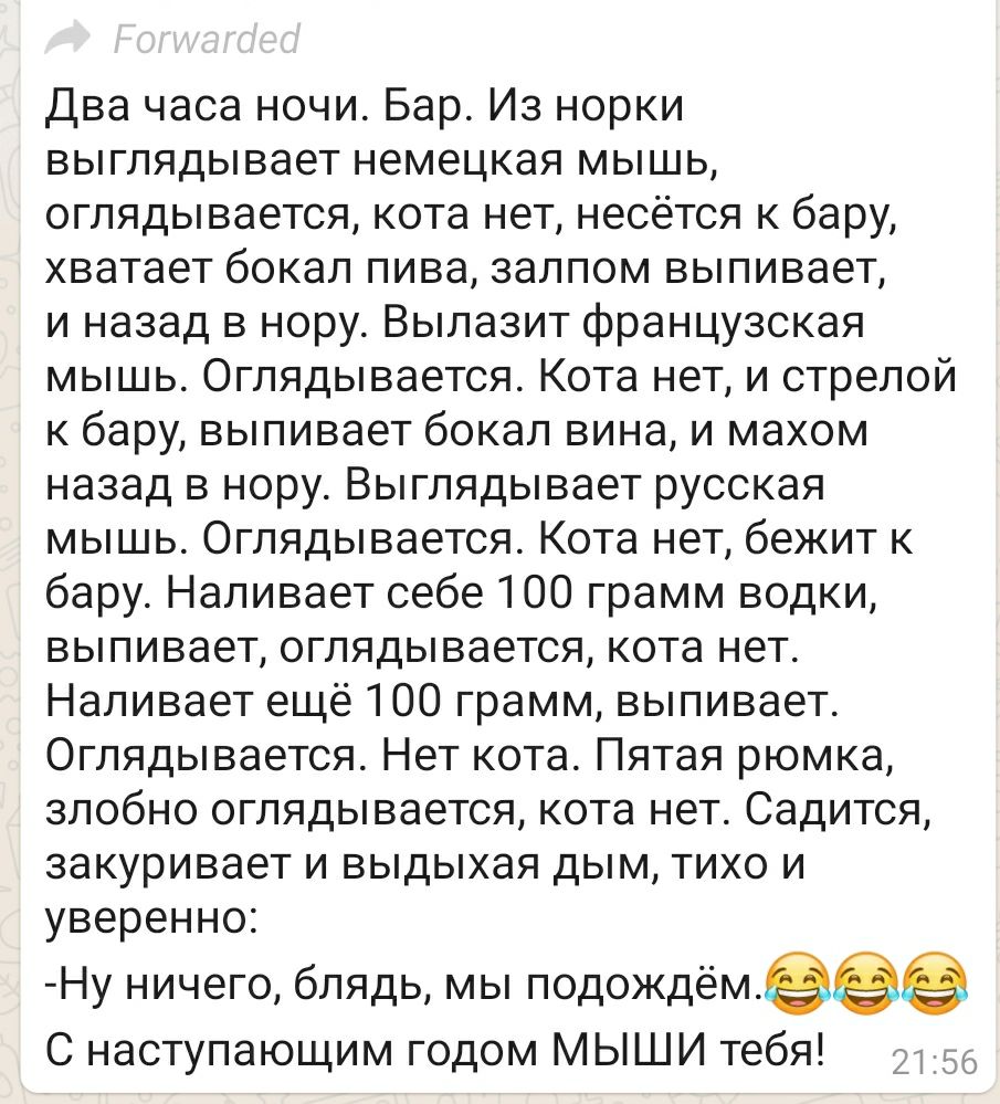 Два часа ночи Бар Из норки выглядывает немецкая мышь оглядывается кота нет несётся к бару хватает бокал пива залпом выпивает и назад в нору Вылазит французская мышь Оглядывается Кота нет и стрелой к бару выпивает бокал вина и махом назад в нору Выглядывает русская мышь Оглядывается Кота нет бежит к бару Наливает себе 100 грамм водки выпивает оглядывается кота нет Наливает ещё 100 грамм выпивает Ог