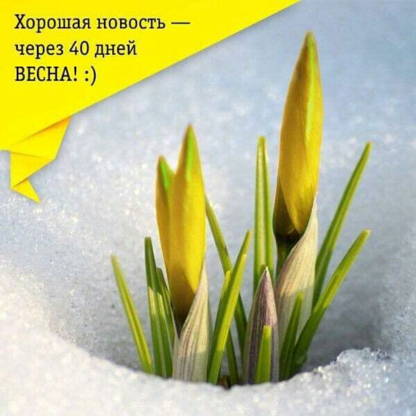 Хорошая новость через 40 дней ВЕСНА И