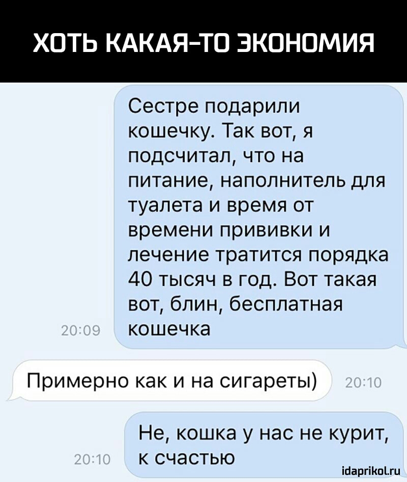 ХОТЬ КАКАЯ ТО ЭКОНОМИЯ Сестре подарили кошечку Так вот я подсчитал что на питание наполнитель для туалета и время от времени прививки и лечение тратится порядка 40 тысяч в год Вот такая вот блин бесплатная кошечка Примерно как и на сигареты Не кошка у нас не курит к счастью ісіаргіКпЫи