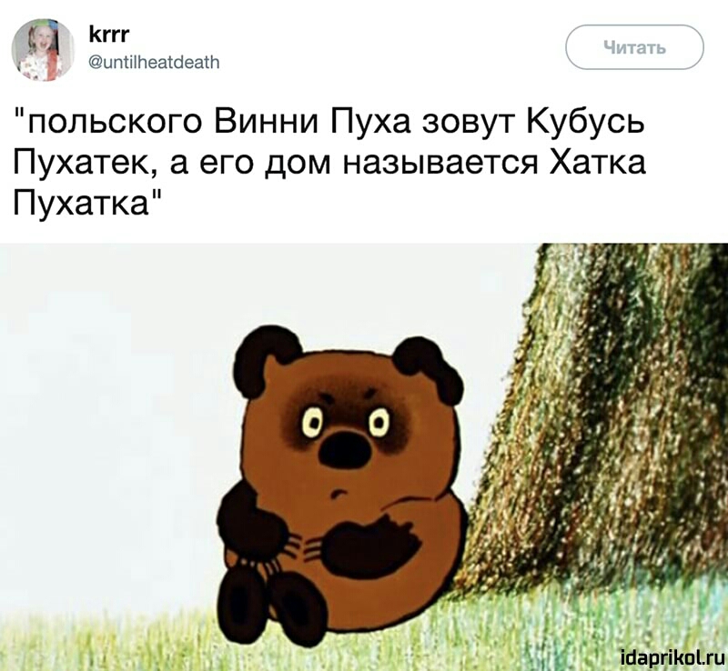 Кггг ытННеаШеат польского Винни Пуха зовут Кубусь Пухатек а его дом называется Хатка Пухатка Навгіп1гц