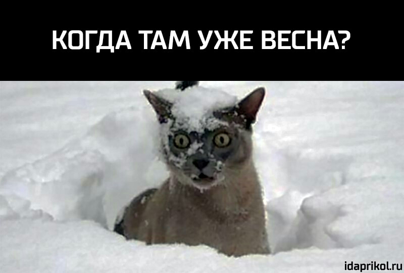 КОГДА ТАМ УЖЕ ВЕСНА ісіаргіКпіш